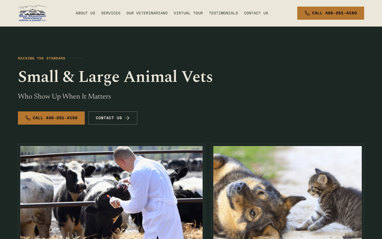 bluemountainvetmt.com (bluemountainvetmt.com) — website redesigned by WebFactory